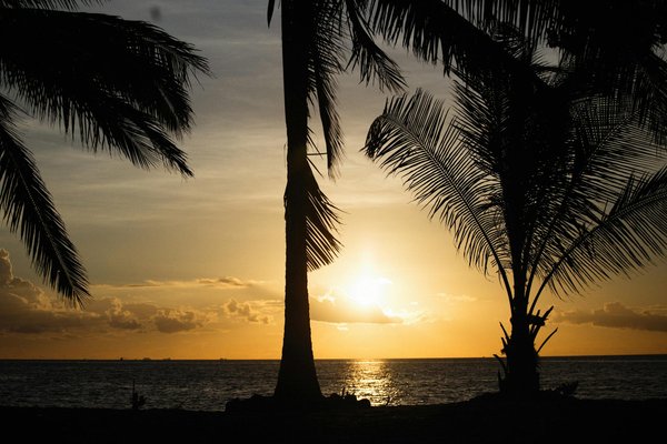 Comment choisir une tente adaptée pour un camping en région de désert en été?